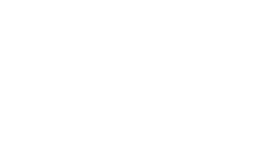 CapitalOne
